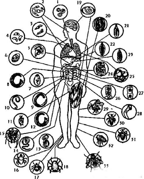 Секс стадионындағы бейне